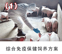 ���i���߱���-135�����B(y��ng)�i���g(sh��)���÷���